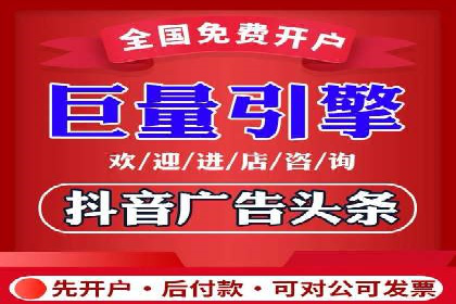 竞价广告的投放时机与频次选择——基于案例的探讨